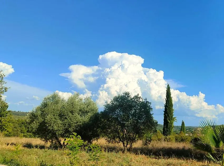 Holiday home Authentique Mas Provencal Avec Piscine Villa Beaumont-de-Pertuis France