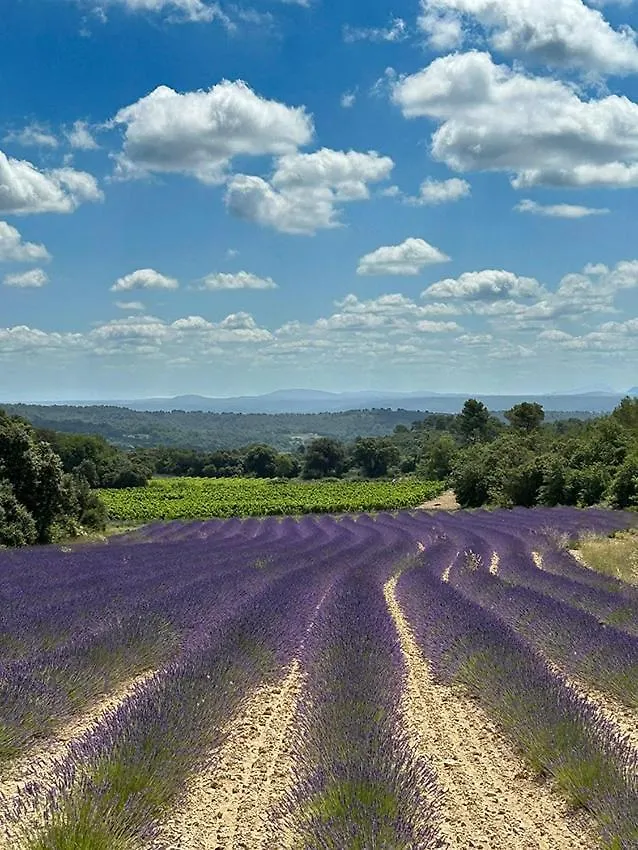 Authentique Mas Provencal Avec Piscine Villa Beaumont-de-Pertuis 0*,  France