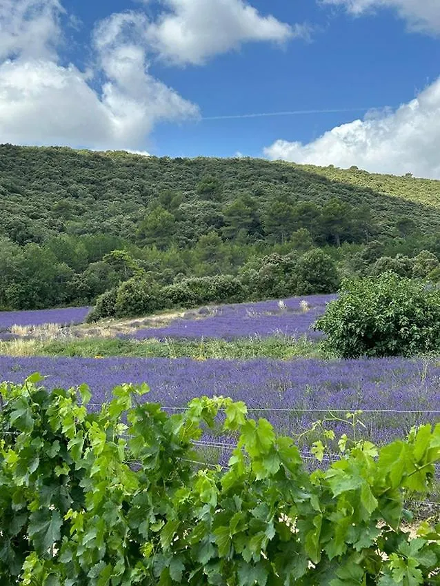 Authentique Mas Provencal Avec Piscine Villa Beaumont-de-Pertuis